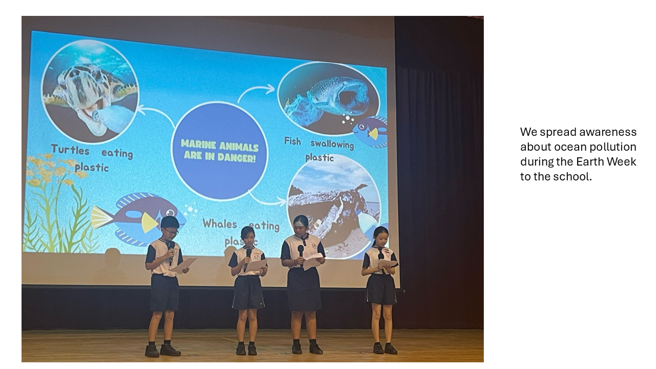 We spread awareness about ocean pollution